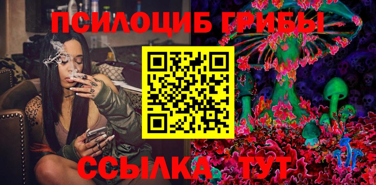 Галлюциногенные грибы Psilocybe  где купить наркоту  Серпухов  Вход с VPN  Галлюциногенные грибы мухоморы 